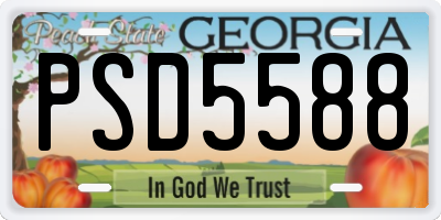 GA license plate PSD5588