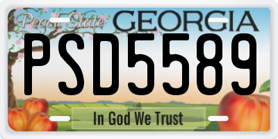 GA license plate PSD5589