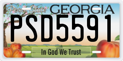 GA license plate PSD5591