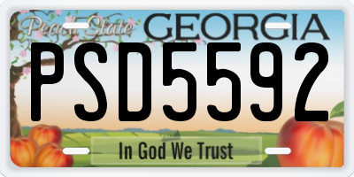 GA license plate PSD5592