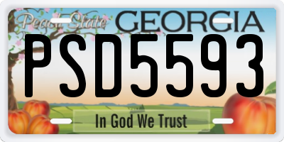 GA license plate PSD5593