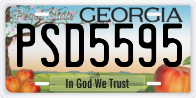 GA license plate PSD5595
