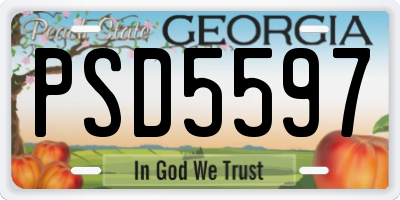 GA license plate PSD5597