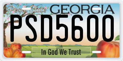 GA license plate PSD5600