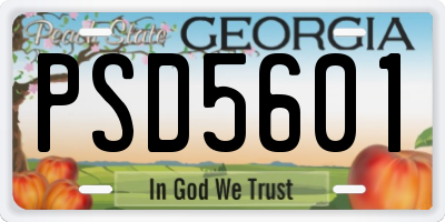 GA license plate PSD5601