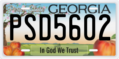 GA license plate PSD5602