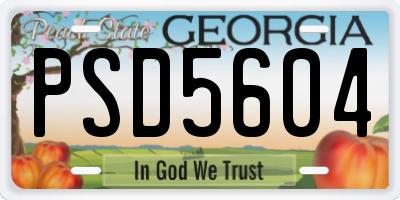 GA license plate PSD5604