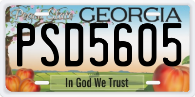 GA license plate PSD5605