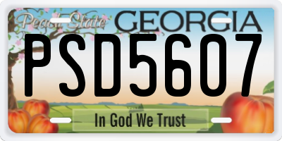 GA license plate PSD5607