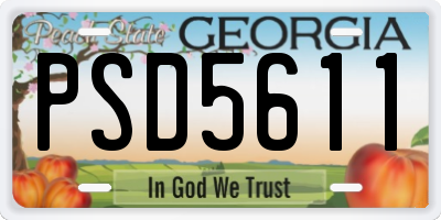 GA license plate PSD5611