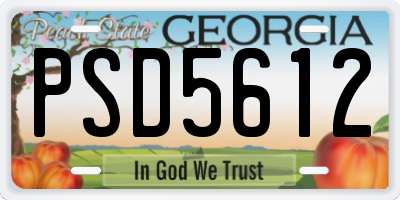 GA license plate PSD5612