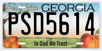 GA license plate PSD5614