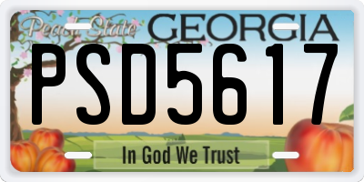 GA license plate PSD5617