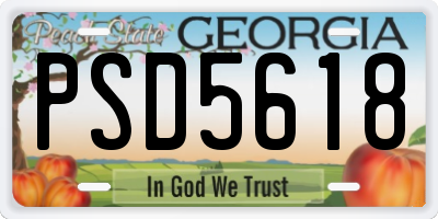 GA license plate PSD5618