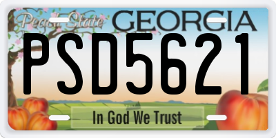 GA license plate PSD5621