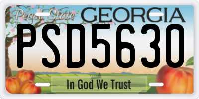 GA license plate PSD5630