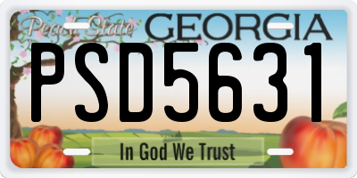 GA license plate PSD5631