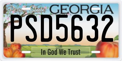 GA license plate PSD5632