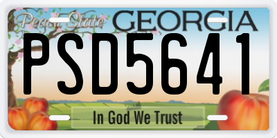 GA license plate PSD5641