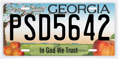 GA license plate PSD5642