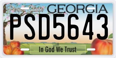 GA license plate PSD5643