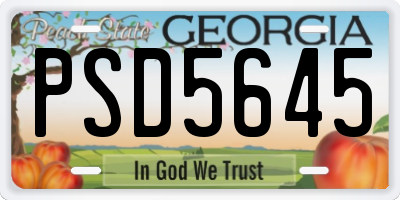 GA license plate PSD5645