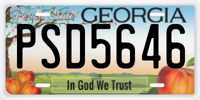 GA license plate PSD5646