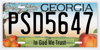GA license plate PSD5647