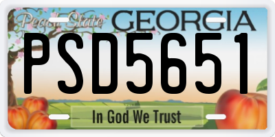 GA license plate PSD5651