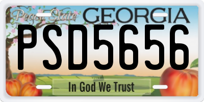 GA license plate PSD5656
