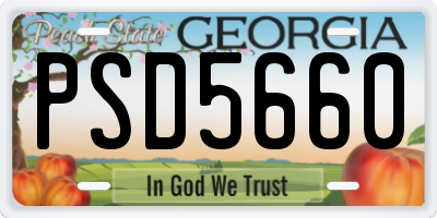 GA license plate PSD5660