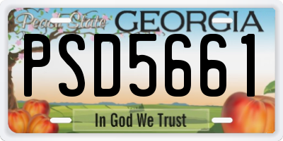 GA license plate PSD5661