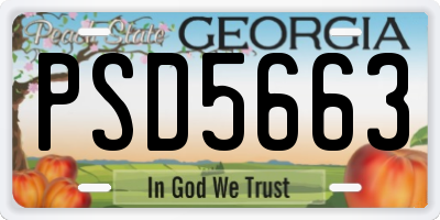 GA license plate PSD5663