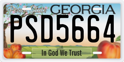 GA license plate PSD5664