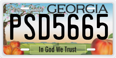 GA license plate PSD5665