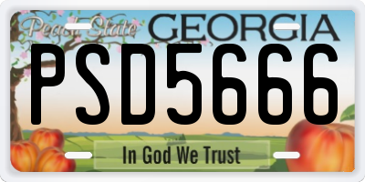 GA license plate PSD5666