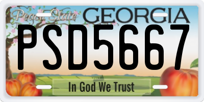 GA license plate PSD5667