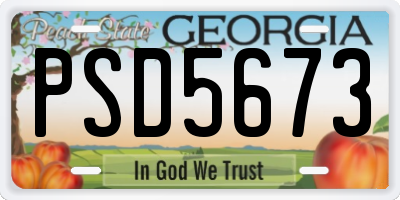 GA license plate PSD5673