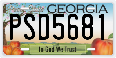 GA license plate PSD5681