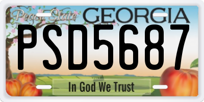 GA license plate PSD5687