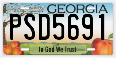 GA license plate PSD5691