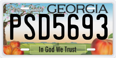 GA license plate PSD5693
