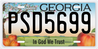 GA license plate PSD5699