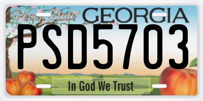 GA license plate PSD5703