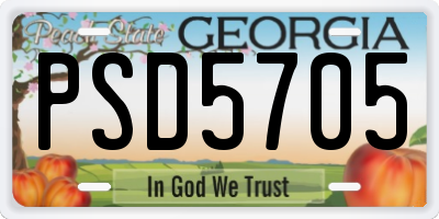 GA license plate PSD5705