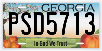 GA license plate PSD5713