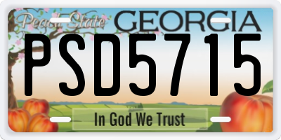 GA license plate PSD5715