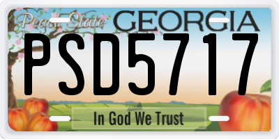 GA license plate PSD5717