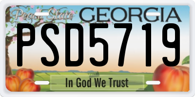 GA license plate PSD5719