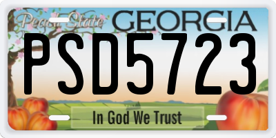 GA license plate PSD5723